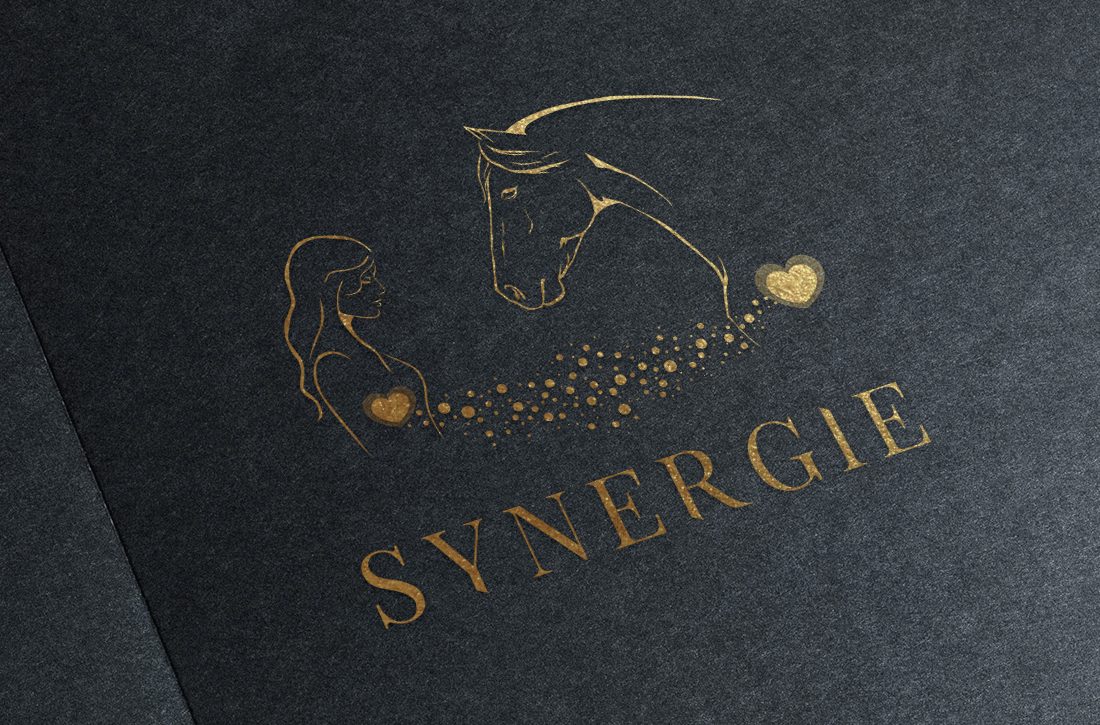 Logo Synergie