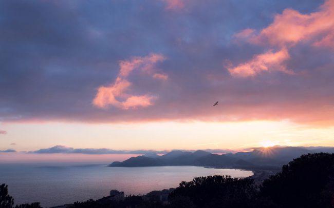 Baie de Cannes