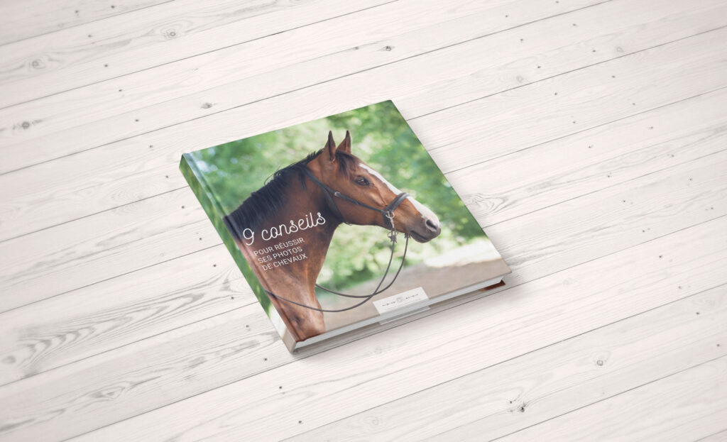 ebook conseils pour réussir ses photos de chevaux