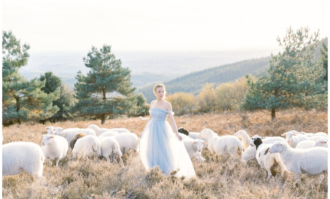 Inspiration mariée poétique entourée de moutons