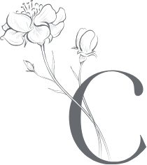 logo-footer