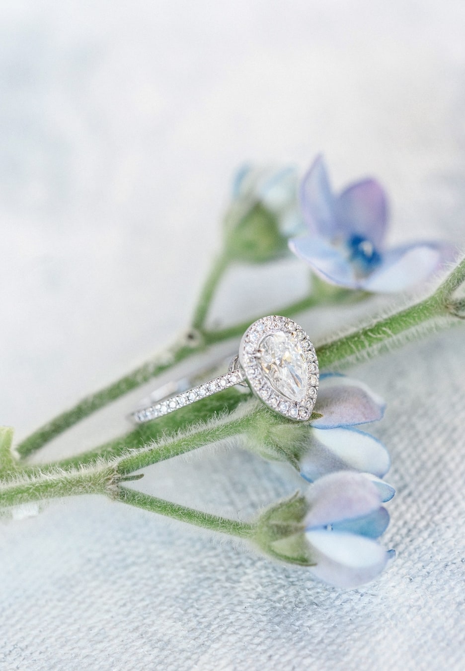 bague de mariage posée sur des fleurs