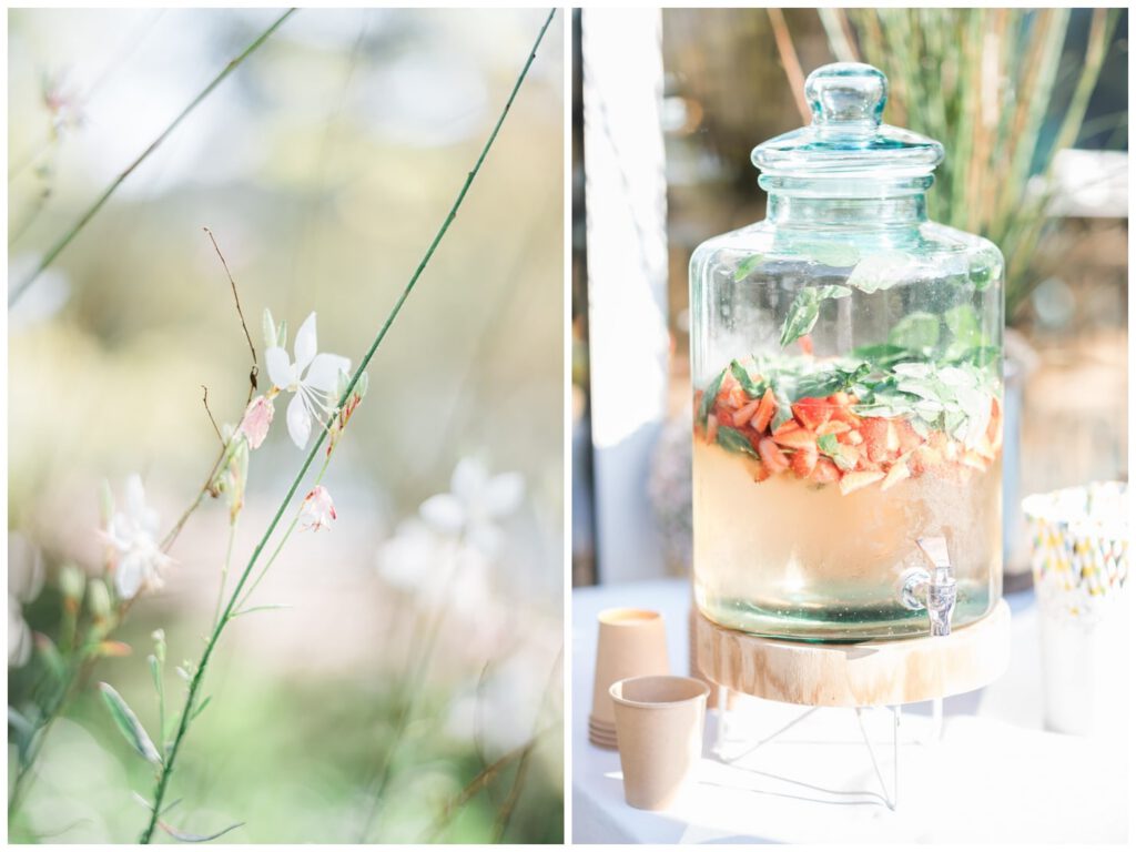 infusion limonade fraise