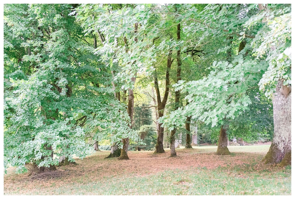 forêt