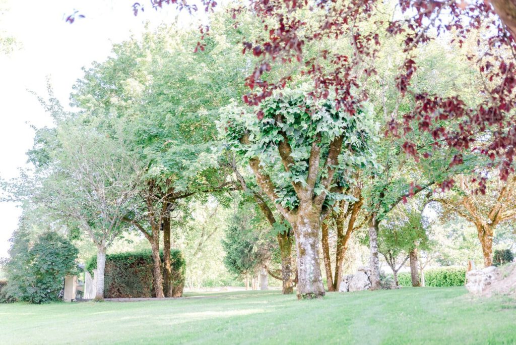jardin