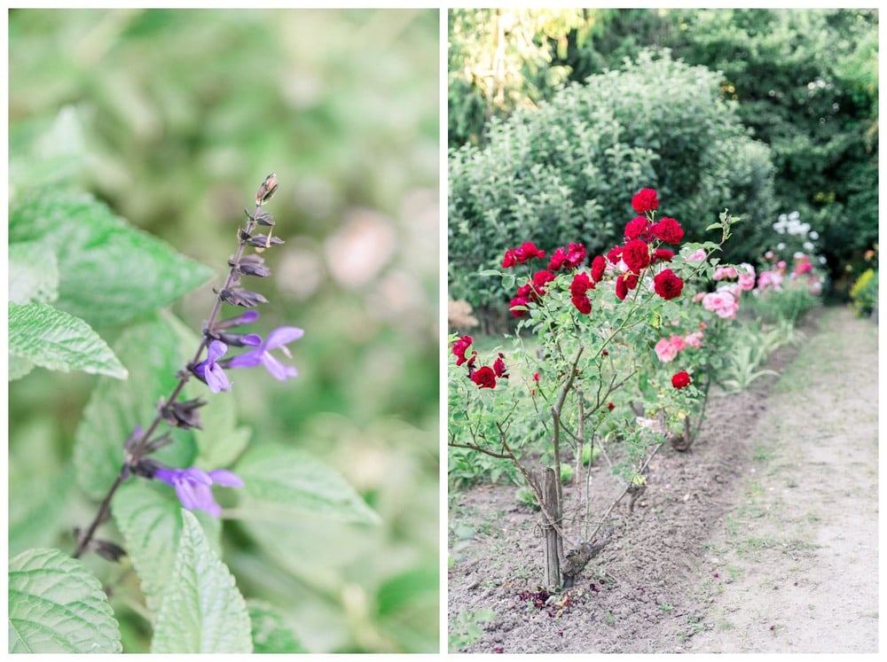 fleurs
