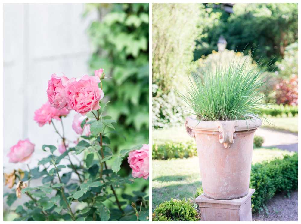 plantes