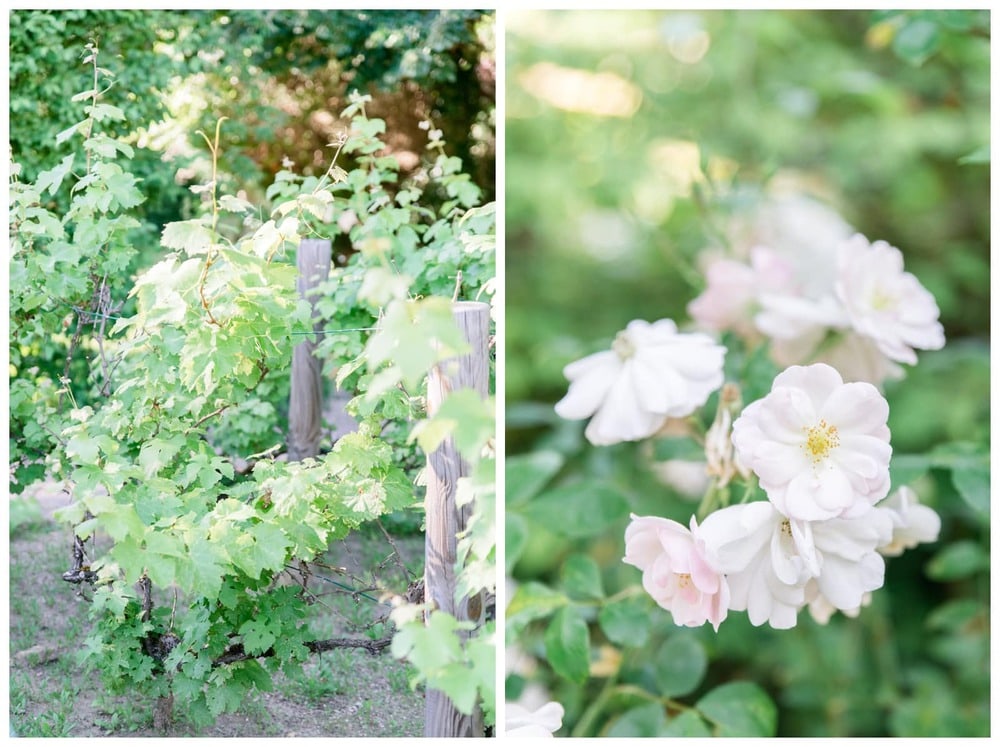 fleurs