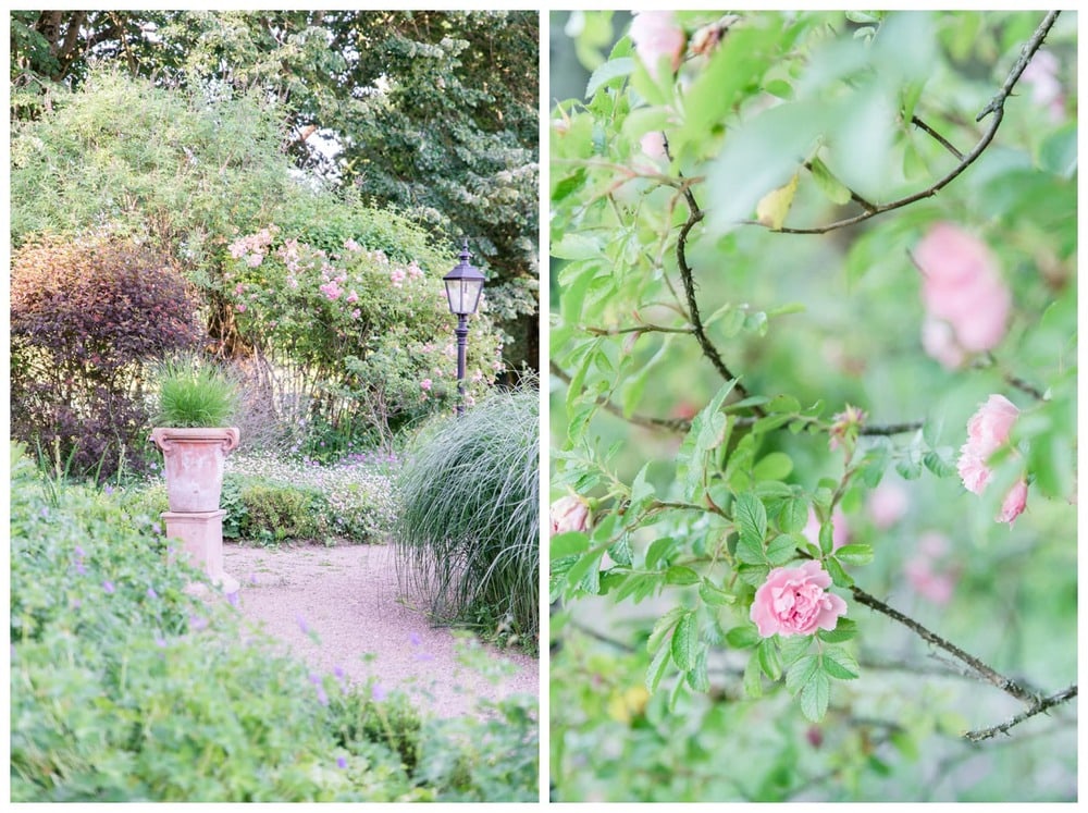 jardin