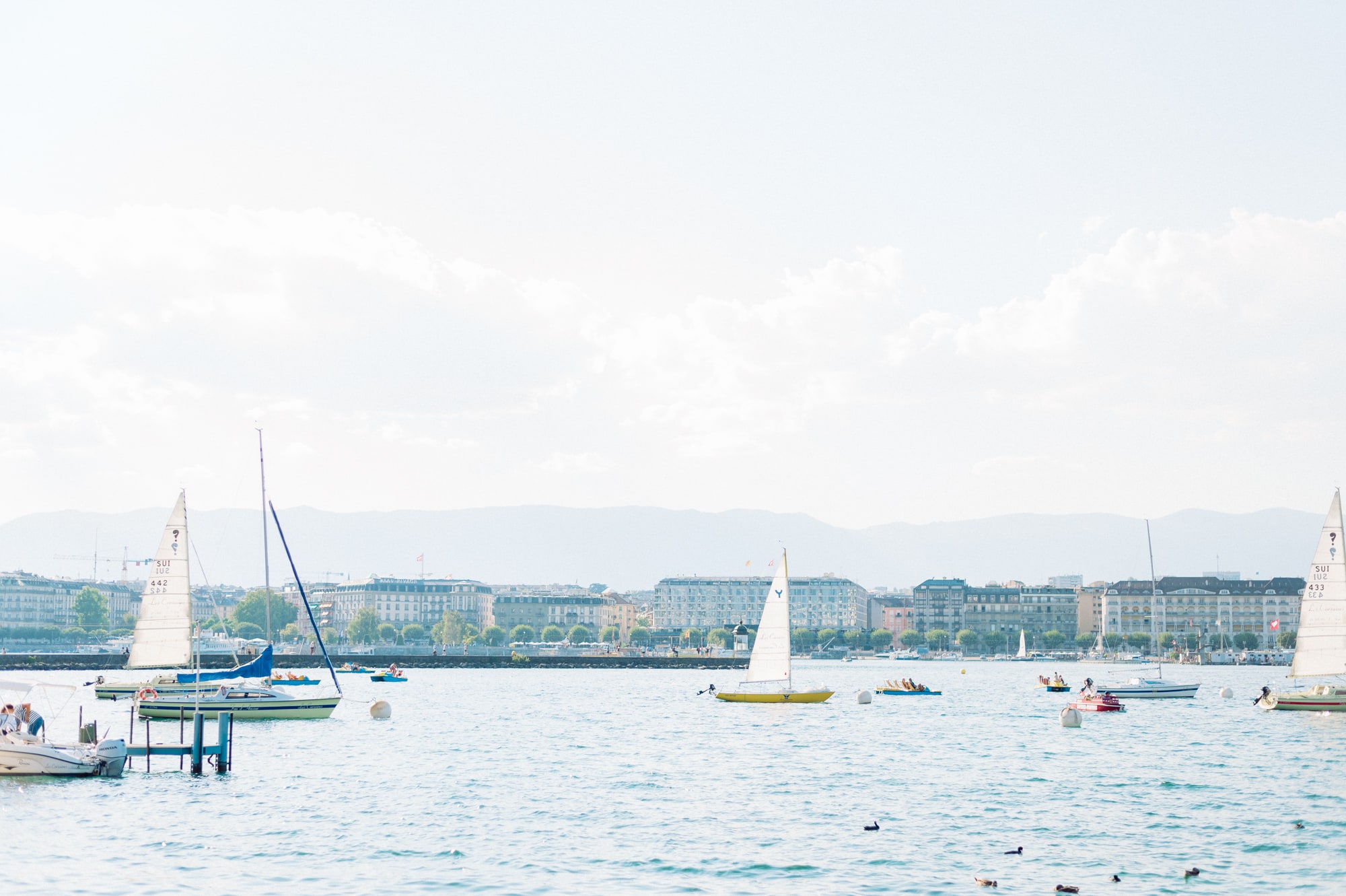 Lac Léman à Genève