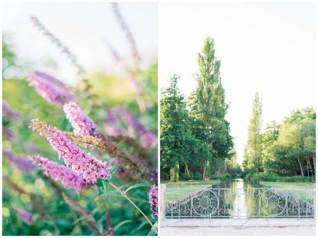 jardins et fleurs