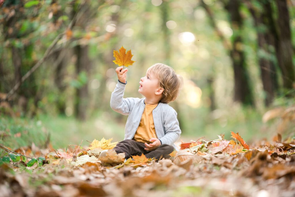 Enfant assis par terre dans une forêt tenant une feuille, en automne