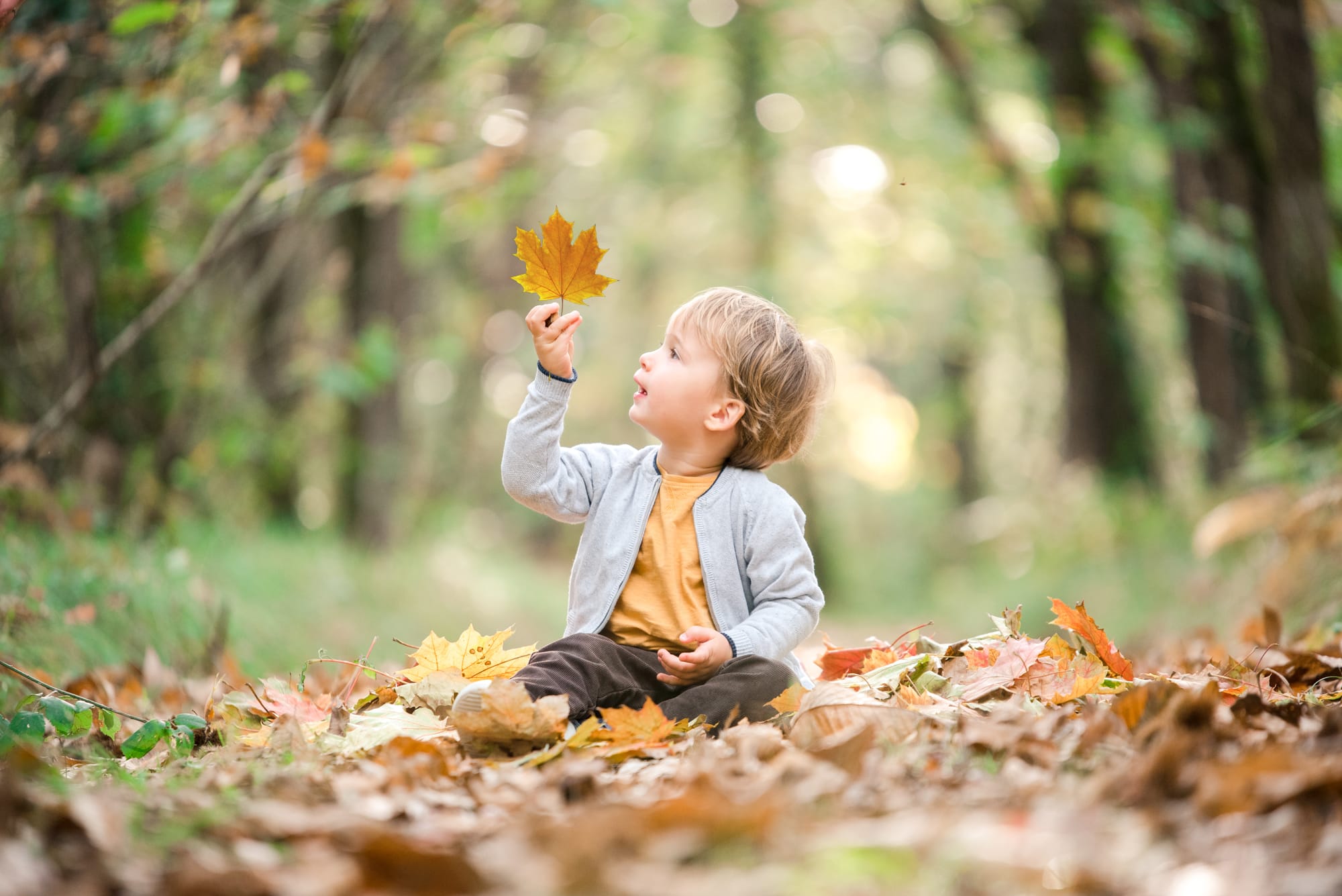 Enfant assis par terre dans une forêt tenant une feuille, en automne