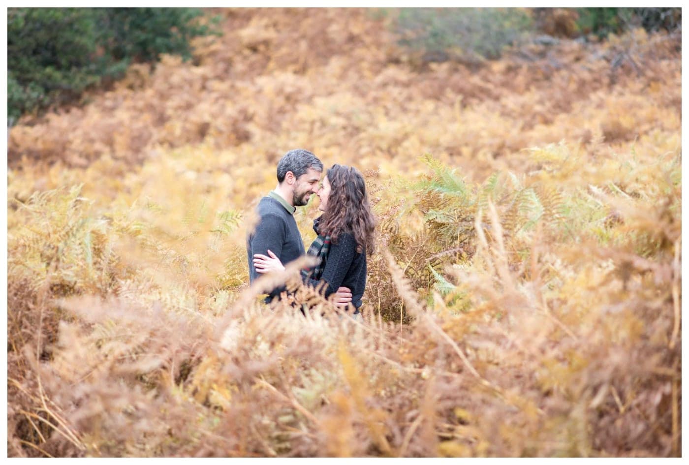 Photo de couple dans les fougères