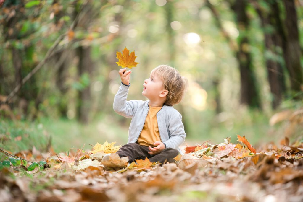portrait d'un enfant dans la foret en automne