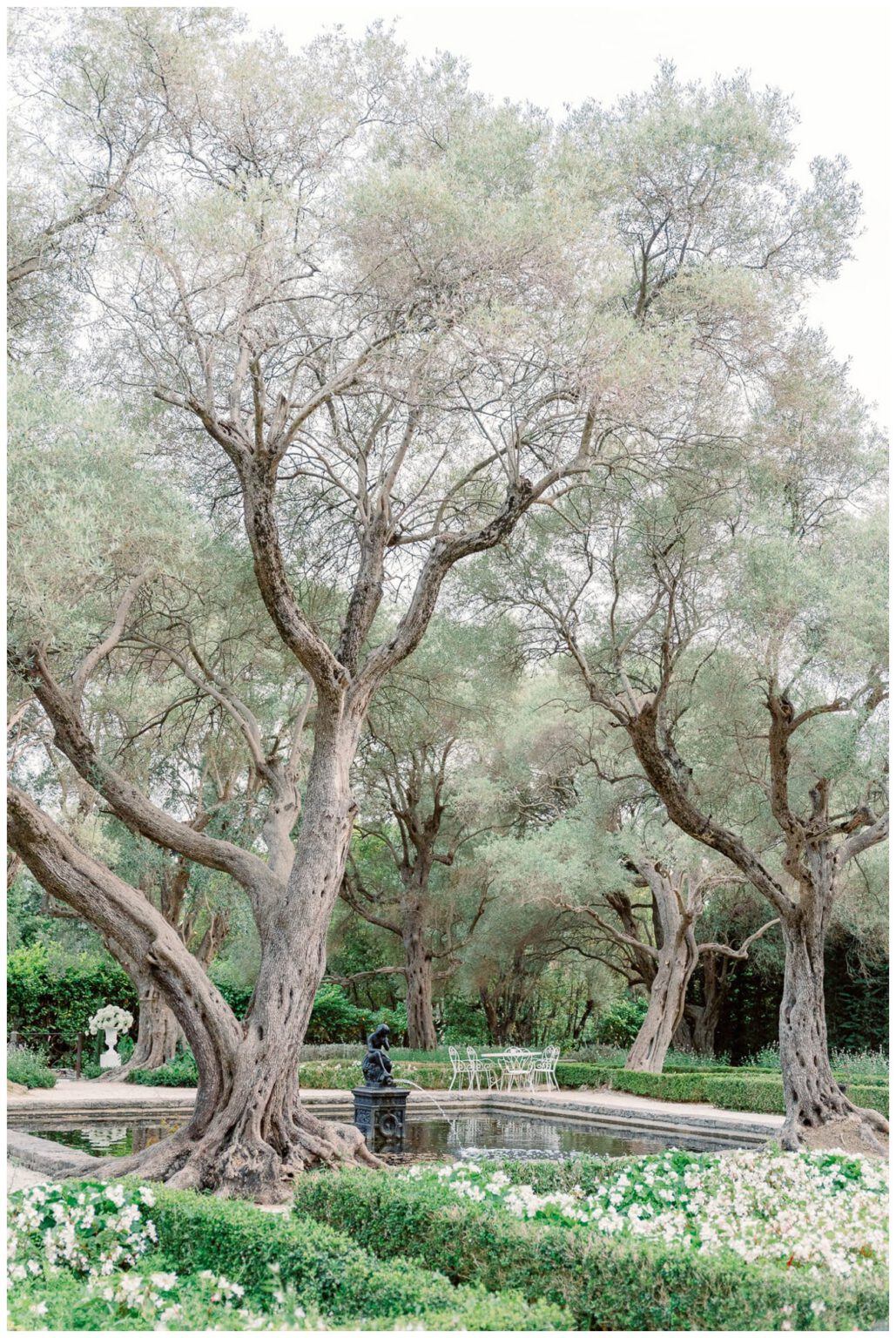 Bastide du Roy gardens