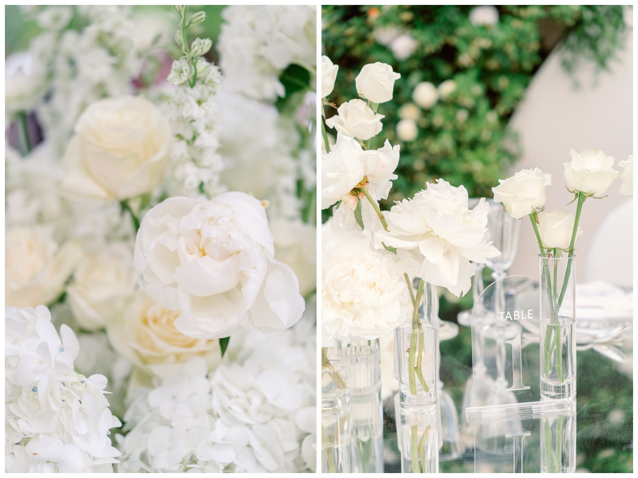 white flowers