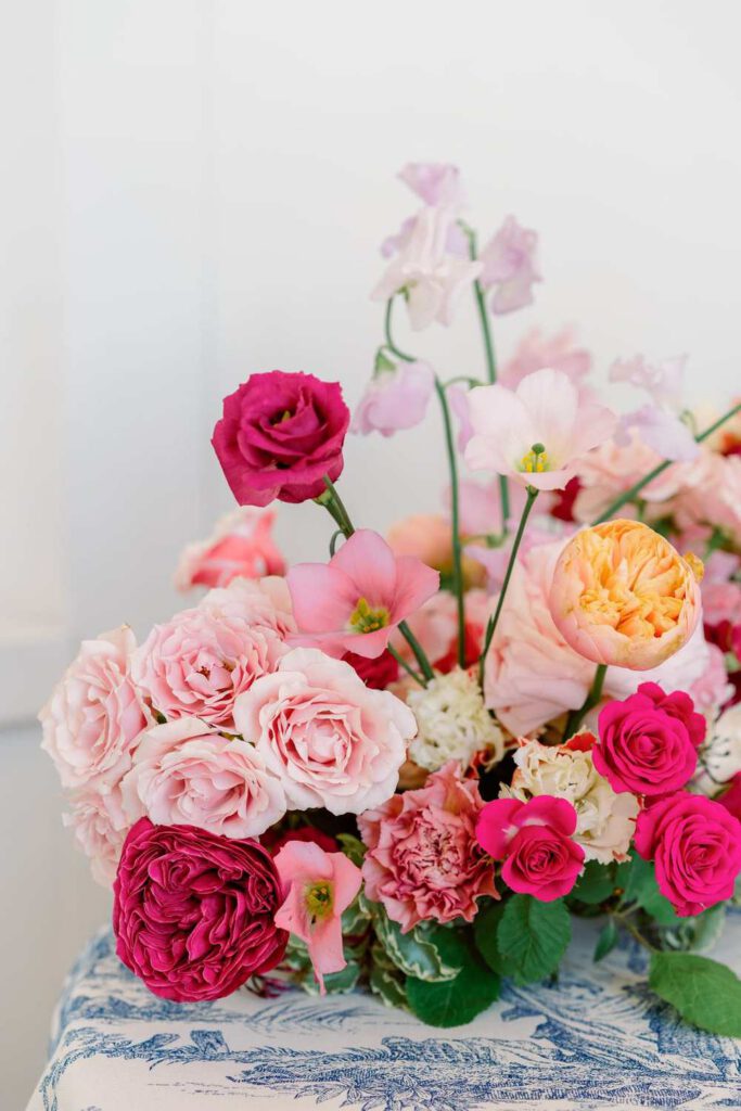 fushia flowers