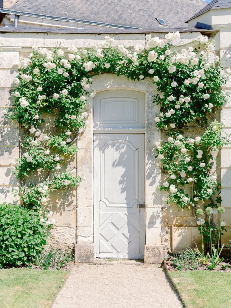 a door with foliage at Château du Grand Lucé