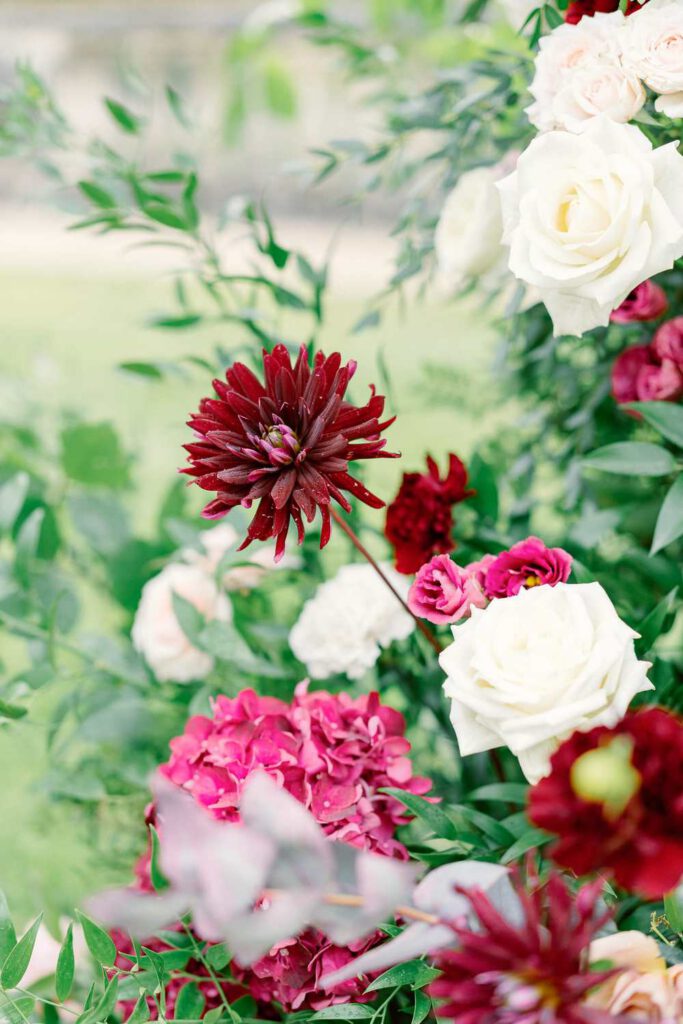 fleurs roses et rouges