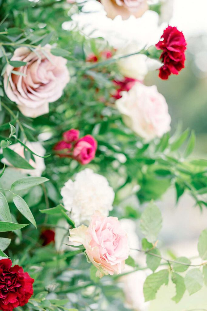 fleurs roses et rouges