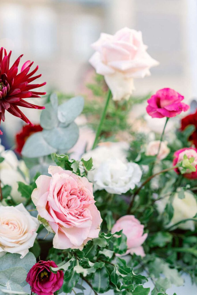 fleurs rouges, rose bordeaux