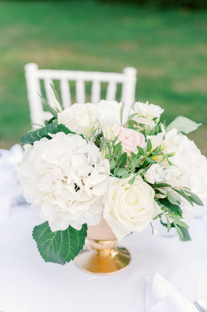 fleurs blanches - white flowers