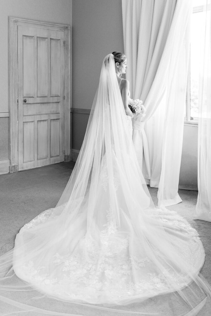 portrait of the Bride with her veil
