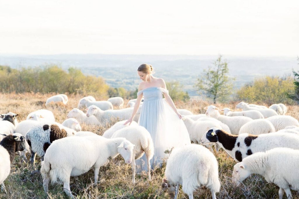 mariée en robe bleue dans la nature avec des moutons