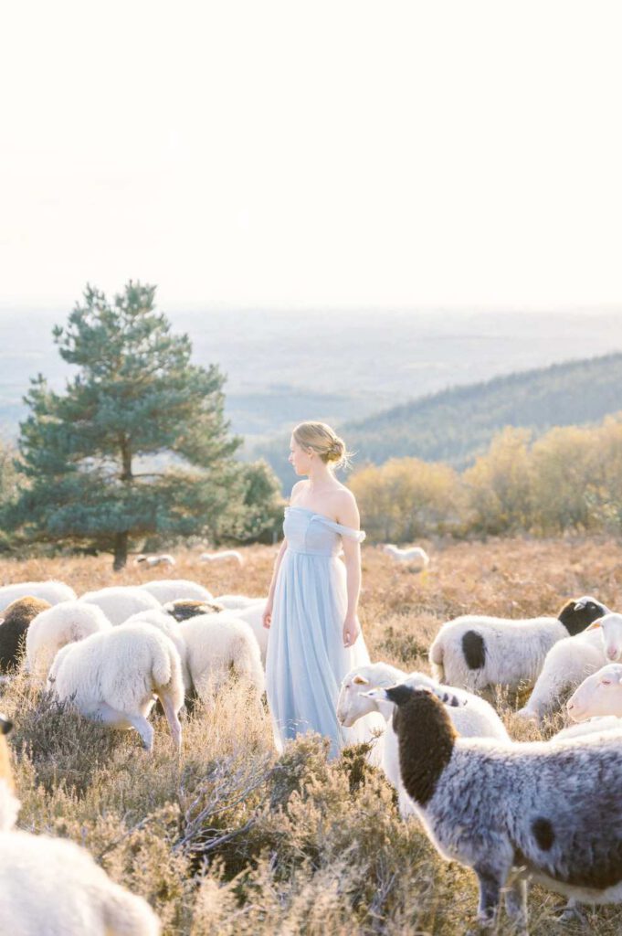 mariée en robe bleue dans la nature avec des moutons
