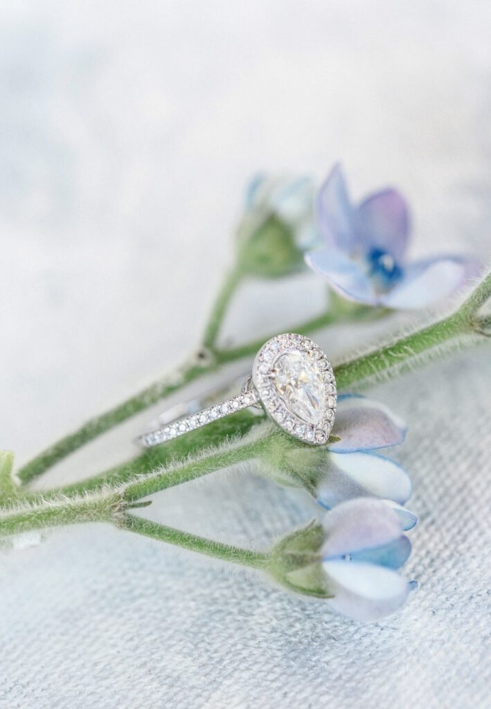 Bague de fiançailles argentée posée sur une fleur bleue