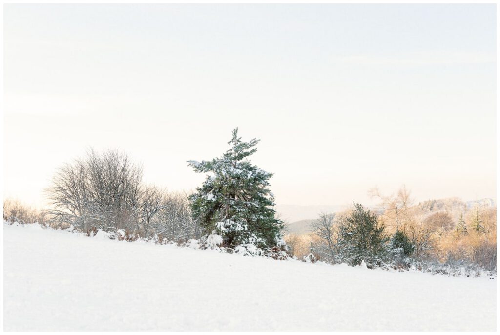 monédières sous la neige