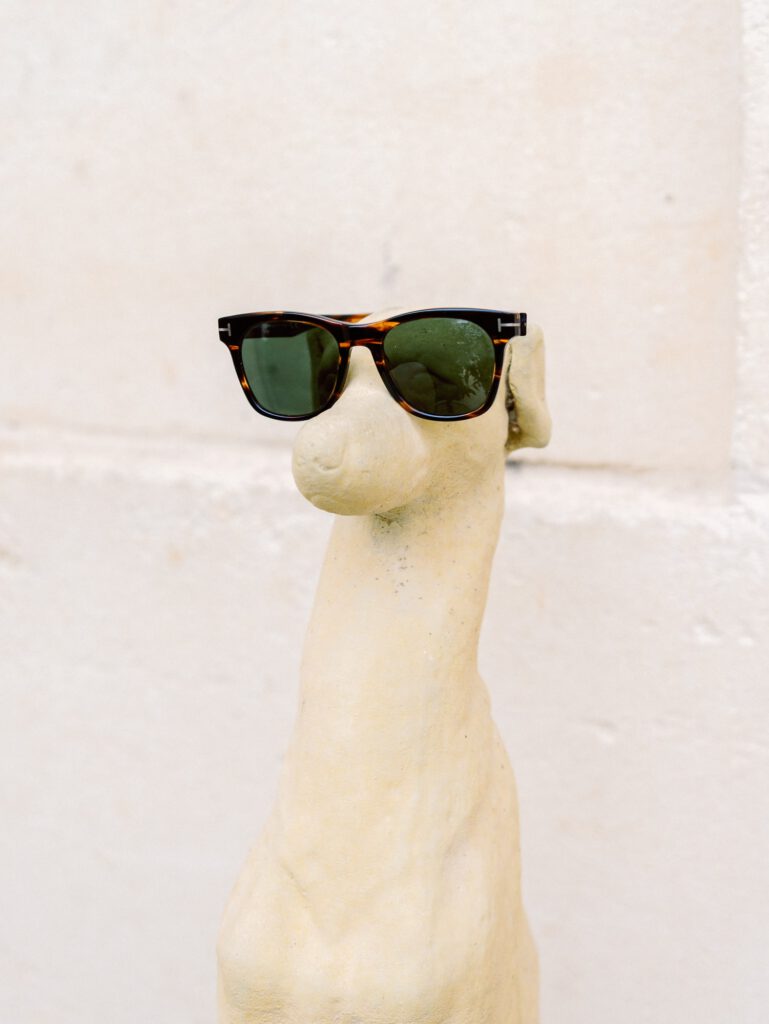 dog statue with sunglasses